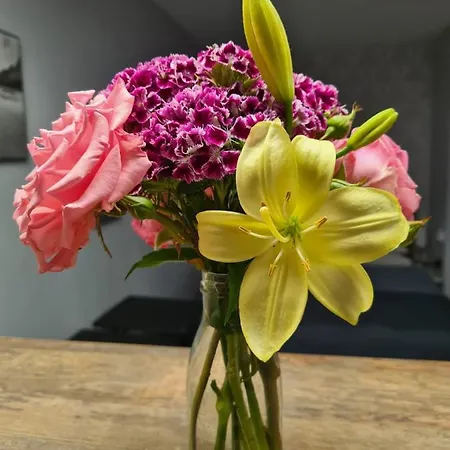 Apartment Casa Cibian