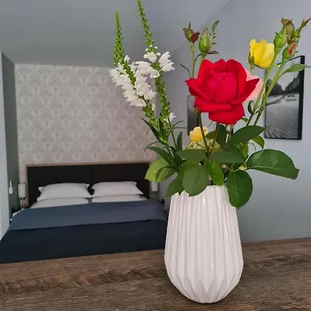 Casa Cibian * בראשוב