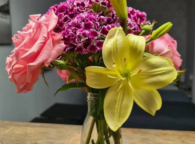 Apartment Casa Cibian