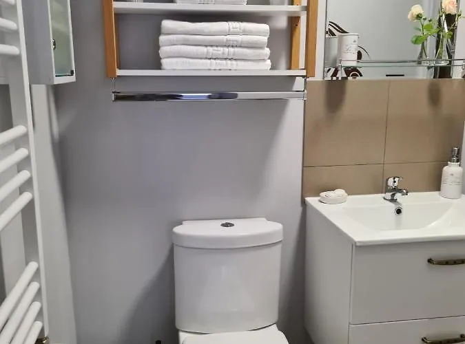 Apartment Casa Cibian Brasov