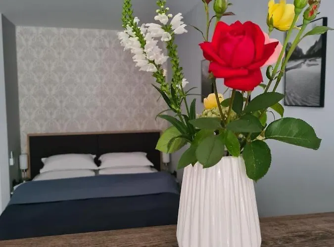 Casa Cibian * Brasov